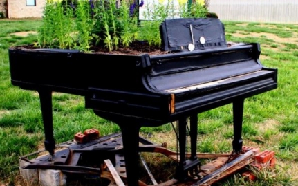 Biến những chiếc Piano đã hỏng thành vật trang trí vườn nhà tuyệt đẹp. 